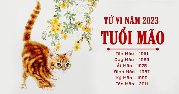 Lựa ngày chuyển nhà tuổi Đinh Mão 2023